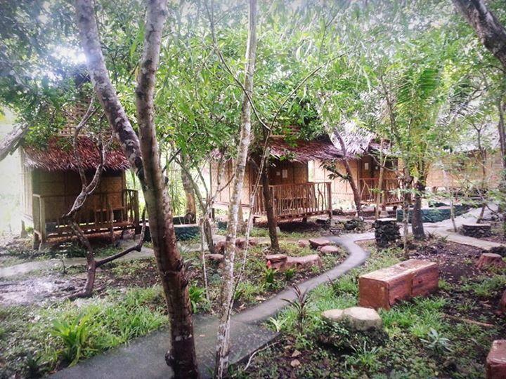 パングラオ Bohol Coco Farmホステル エクステリア 写真