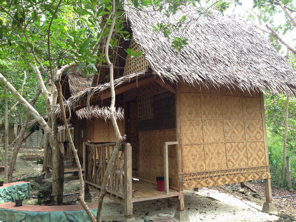 パングラオ Bohol Coco Farmホステル エクステリア 写真