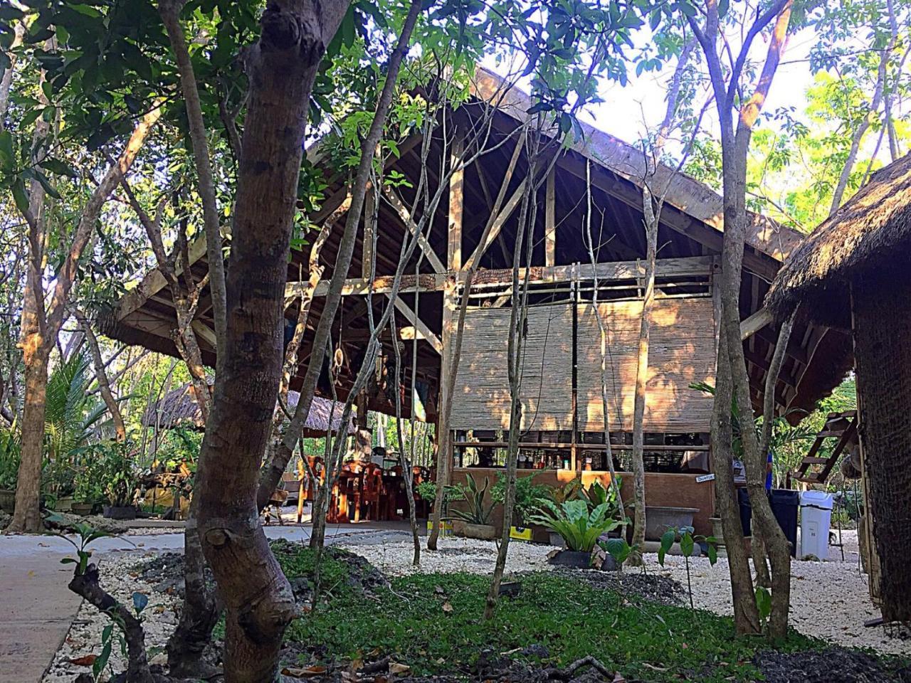 パングラオ Bohol Coco Farmホステル エクステリア 写真