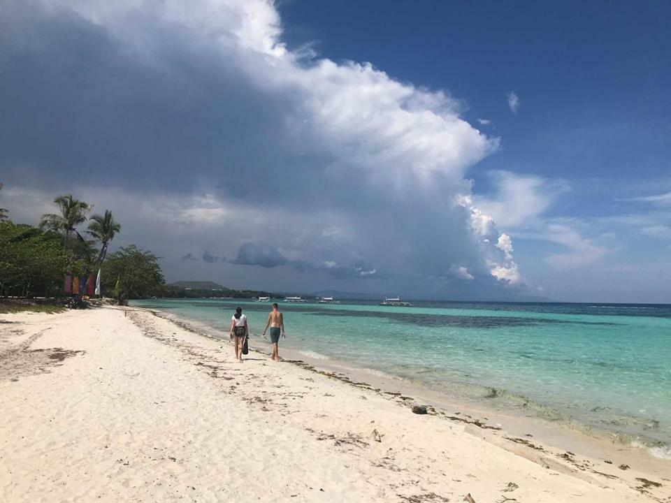 パングラオ Bohol Coco Farmホステル エクステリア 写真