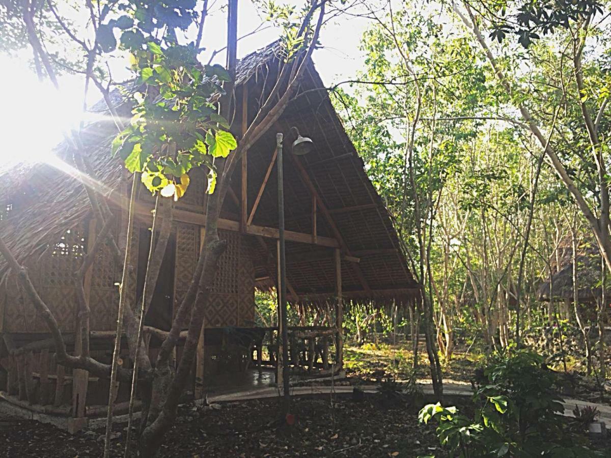 パングラオ Bohol Coco Farmホステル エクステリア 写真