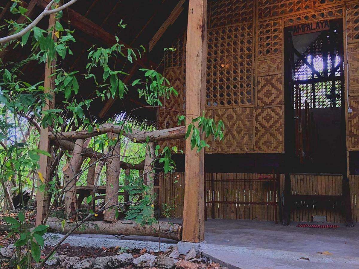 パングラオ Bohol Coco Farmホステル エクステリア 写真